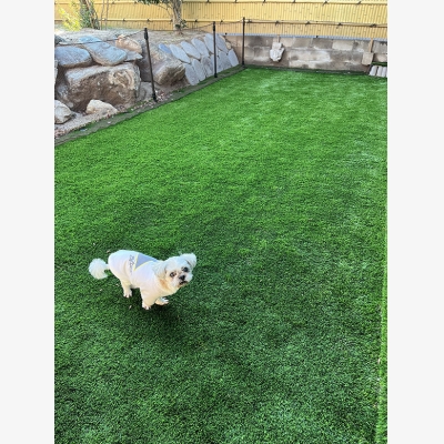 愛犬のためのおうちドッグラン～ワン芝テラス1～